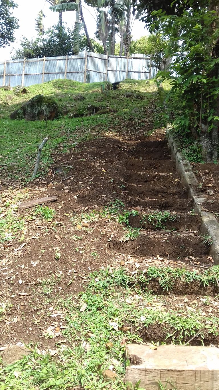 An Earthen Stairway