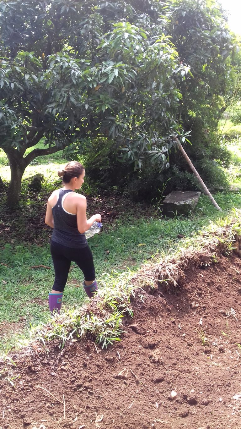 Terrace # 1 and Dry Stone Walls