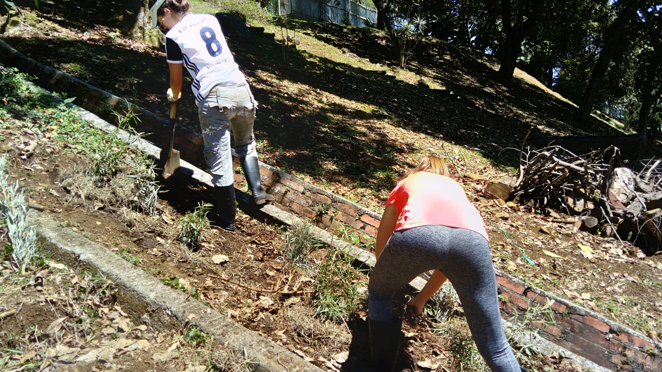 The first terrace: 2017 – weeding and planting bamboo