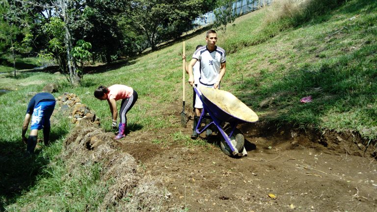 Wheelie – Un nuevo miembro del jardín!