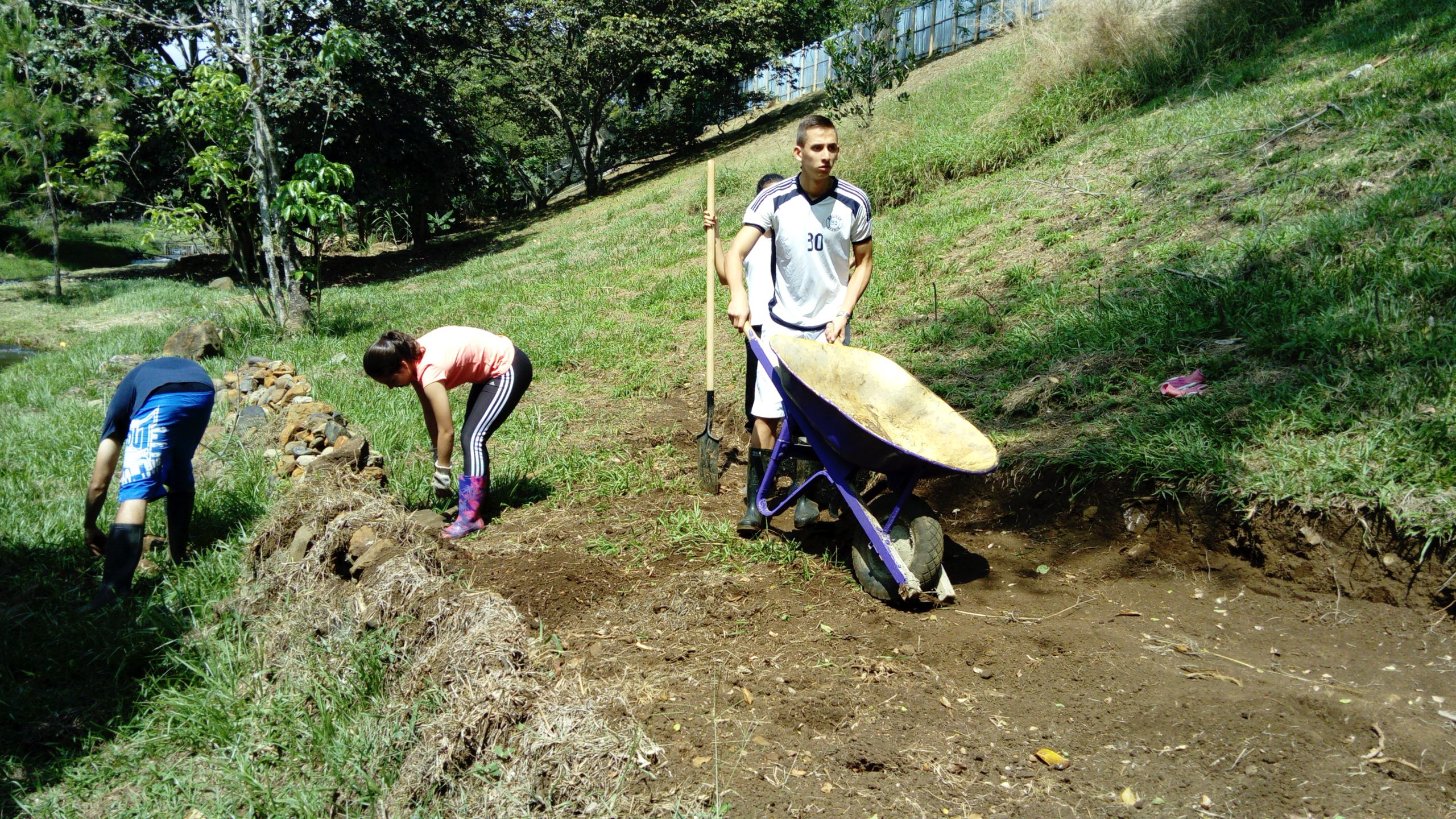 Wheelie – a new member to our garden!