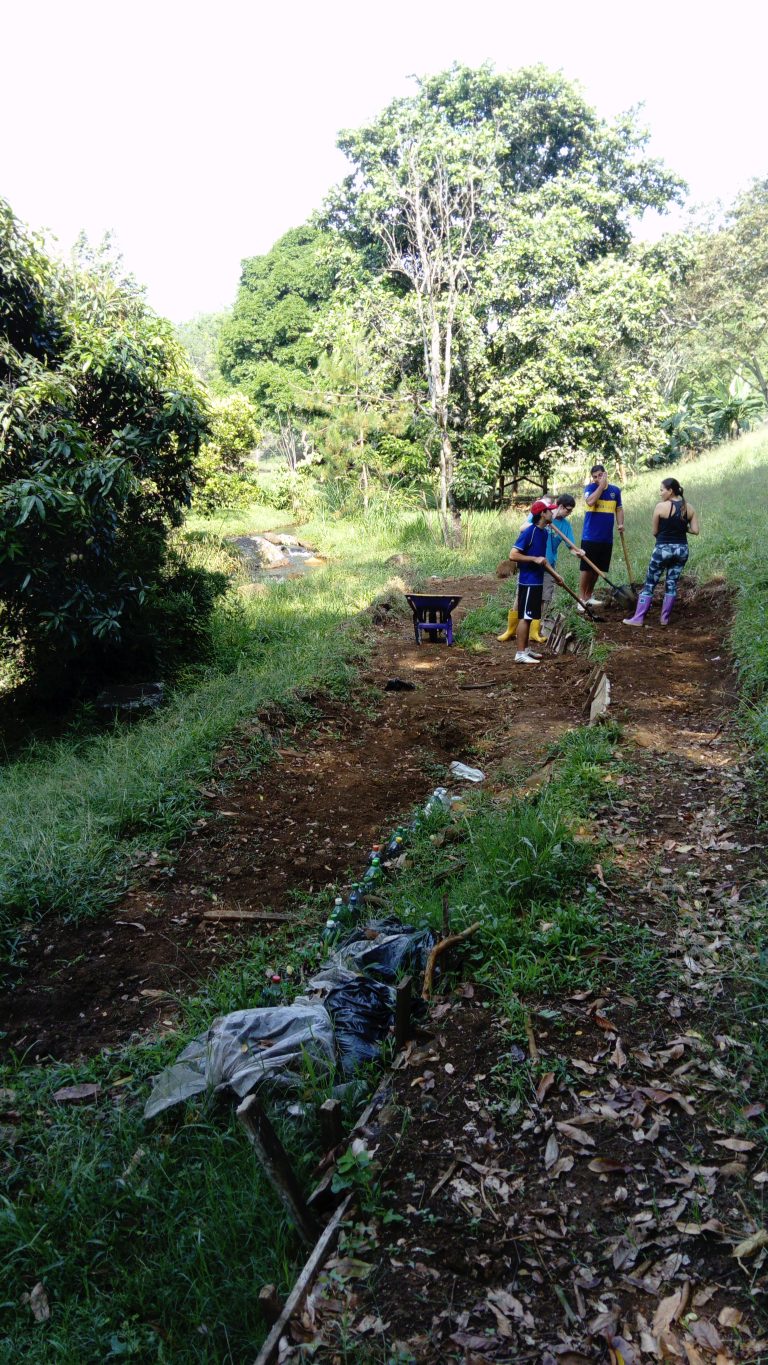 The end of the beginning – the last few months