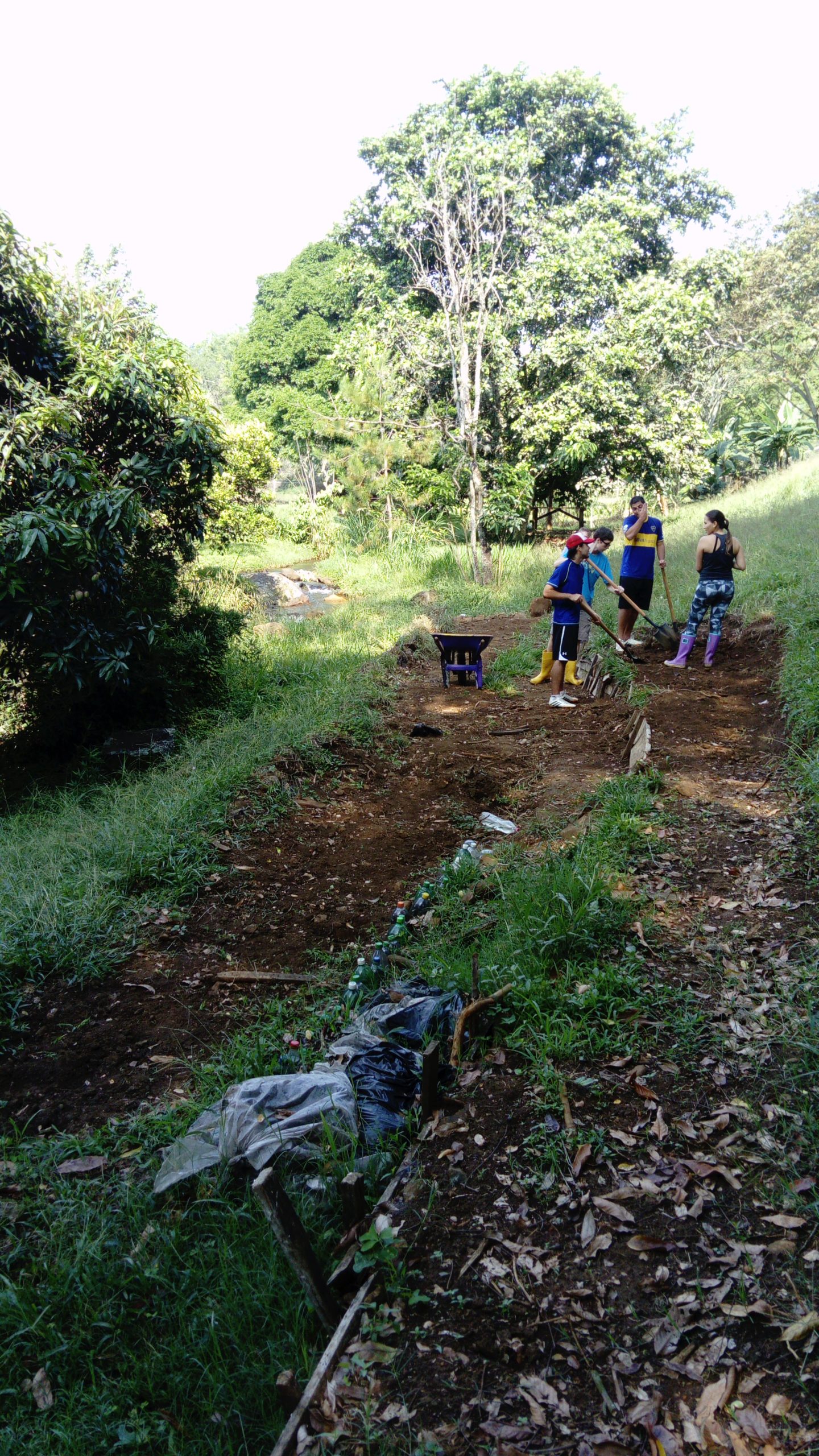 The end of the beginning – the last few months