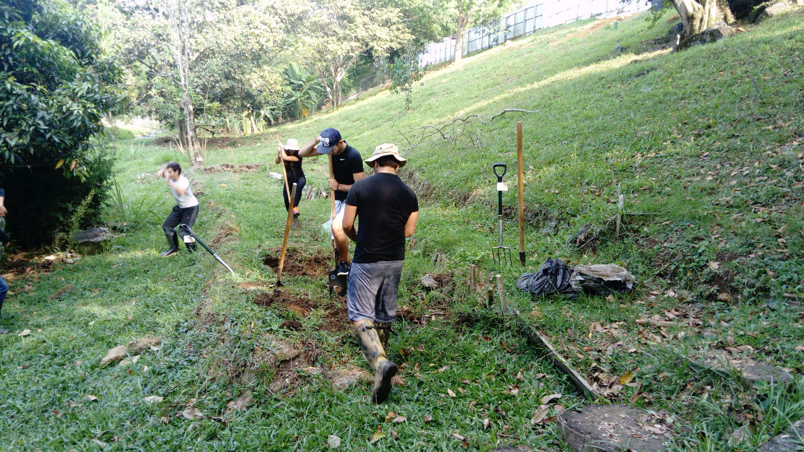 Over grown terraces: getting back in the swing of things.