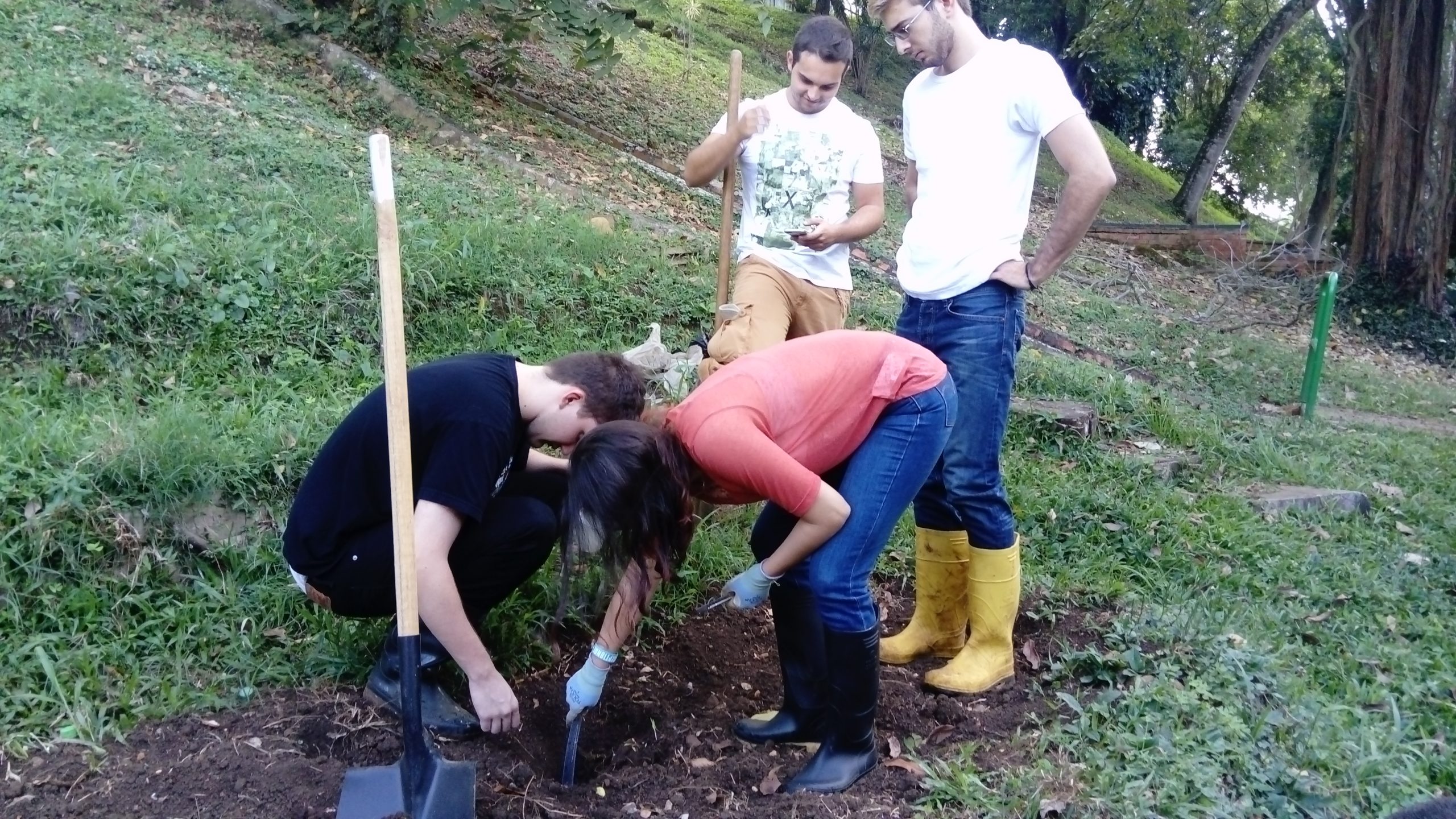 The New Academic Year