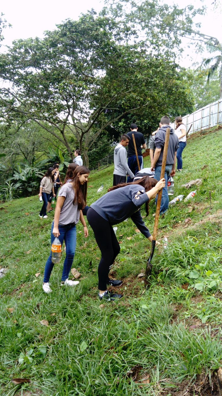 Pumpkin hill and iguanas!