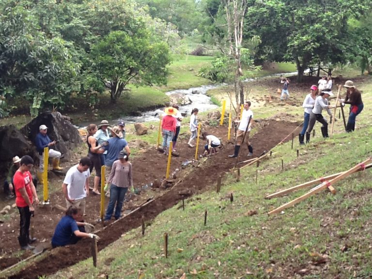 Community involvement: Bolivar Garden Weekends