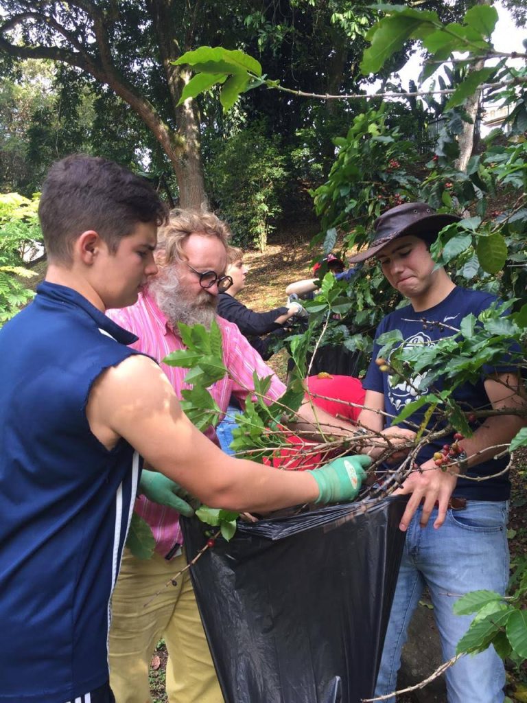 Managing our coffee trees – Juan José Gómez