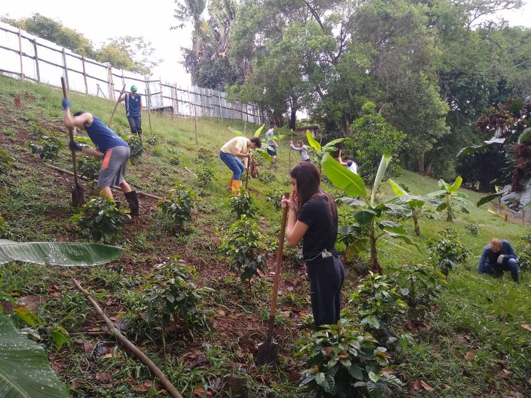 Local trees to shade our coffee – Mata Raton  – Alejandra Guasto
