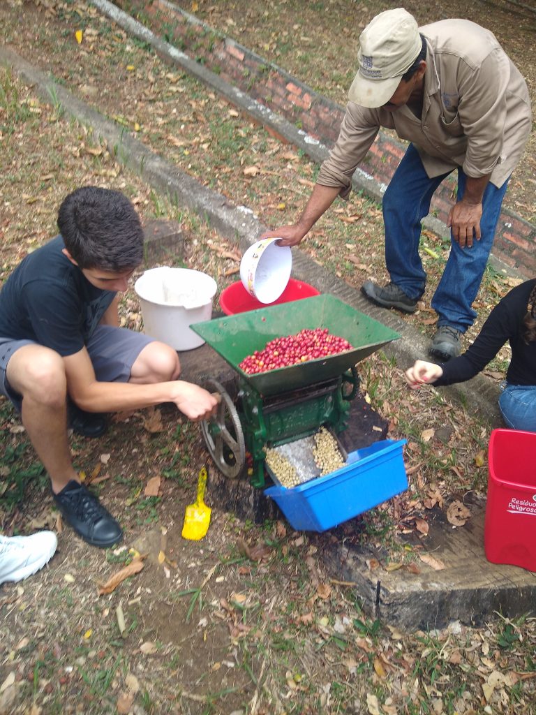 Processing coffee – Martin Bueno Duque