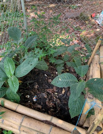 Organic Matter – Juan José Gómez