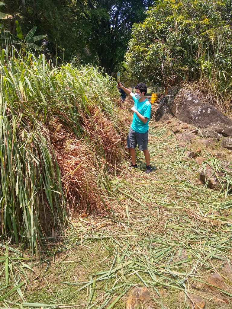 A NEW BEGINNING – back after the pandemic