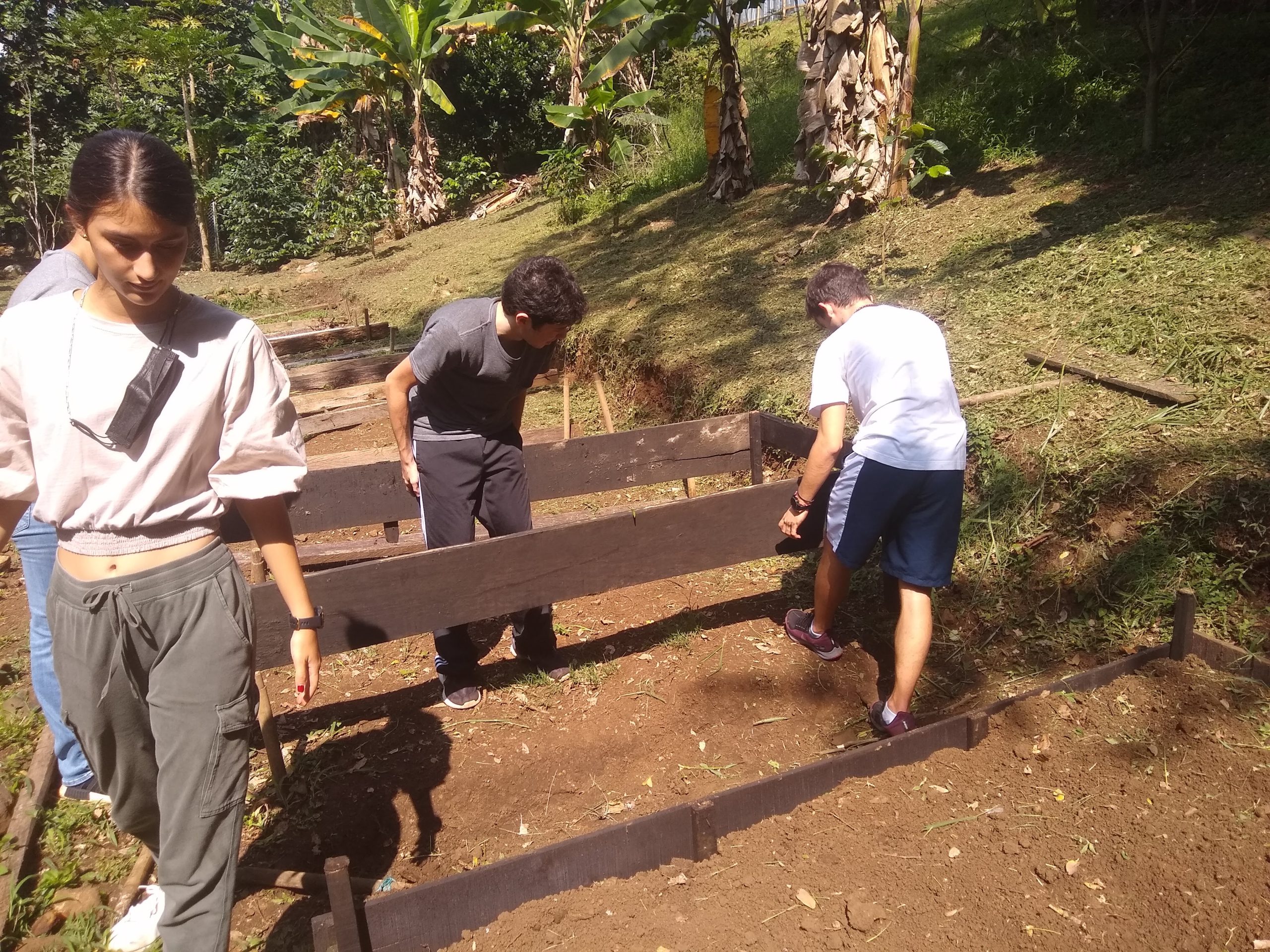 Renovating the terrace