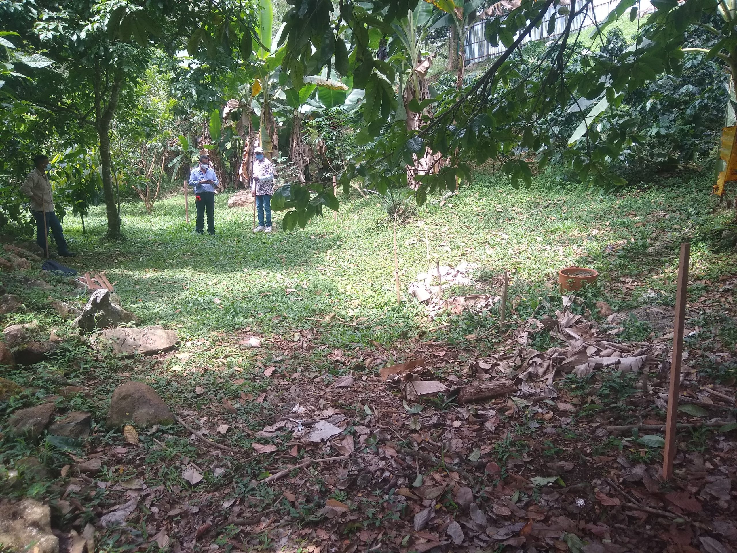 THE GREENHOUSE PROJECT – FUNDING and MOVING FORWARDS