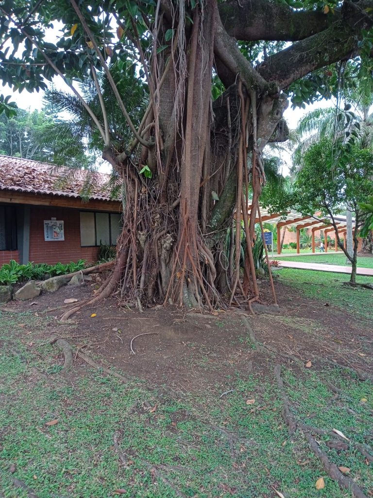 Organising the distribution of areas for the school inventory: