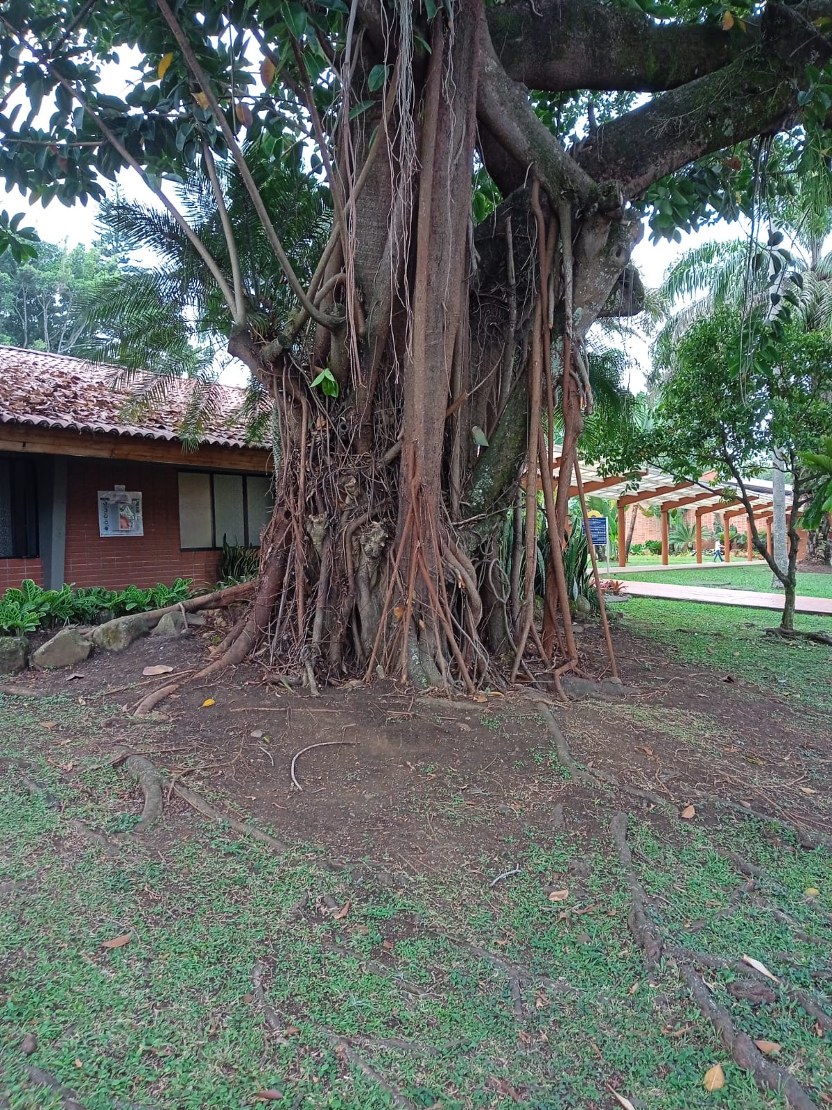 Organising the distribution of areas for the school inventory: