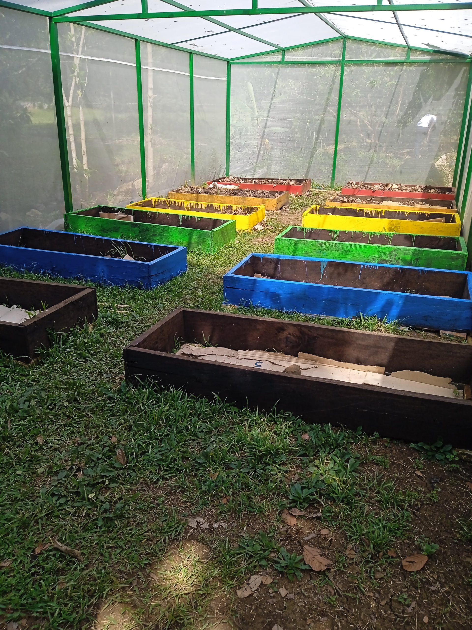 Getting the greenhouse ready