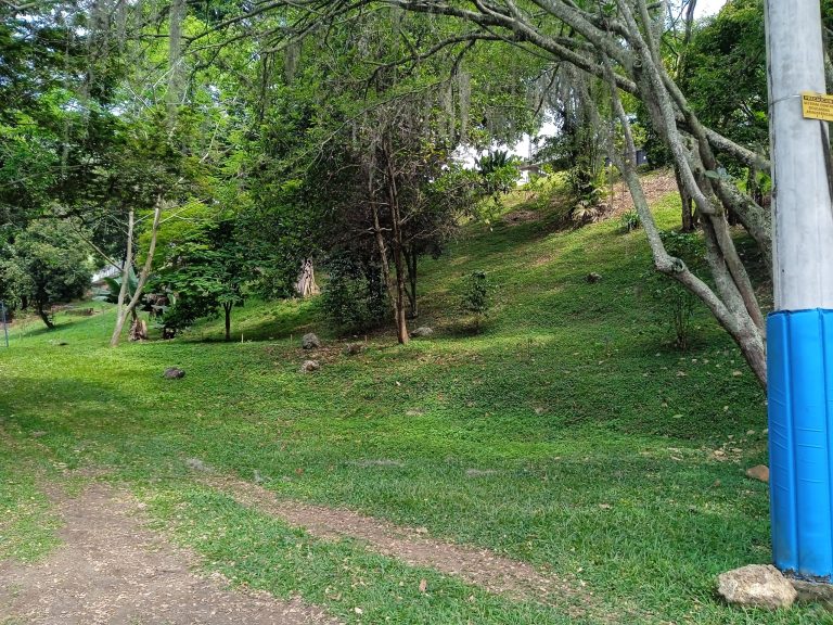 Visit by cacao scientists to assess our cacao project ideas