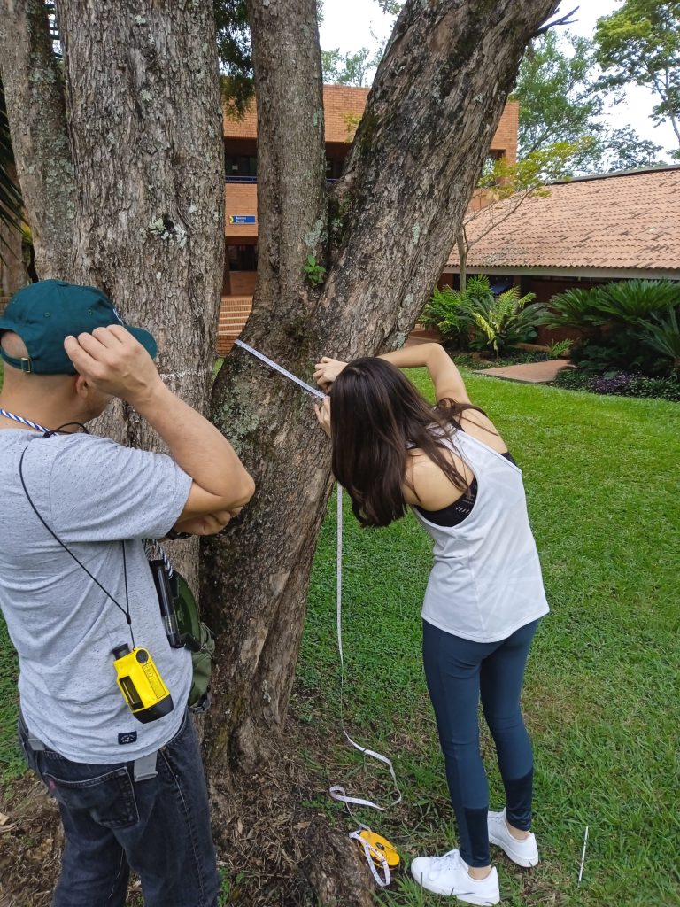 A Colegio Bolivar Plant Inventory