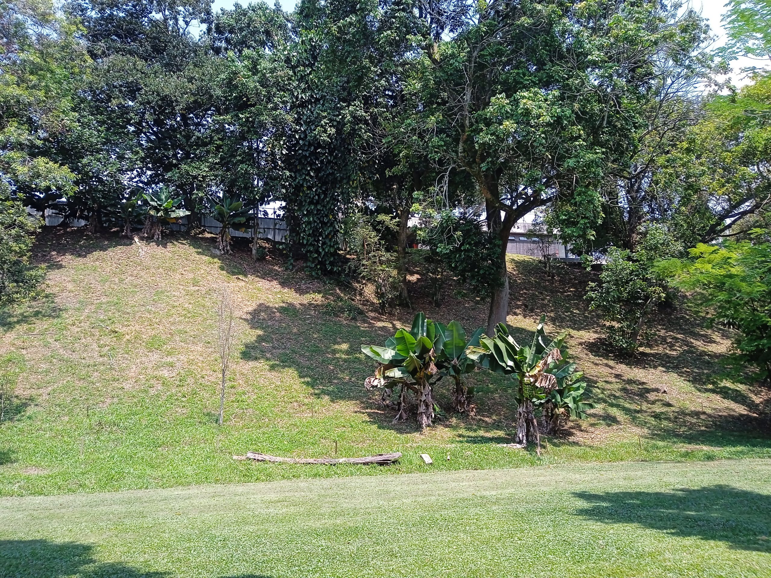 Cacao plot defined and project ratified by Rectoria.