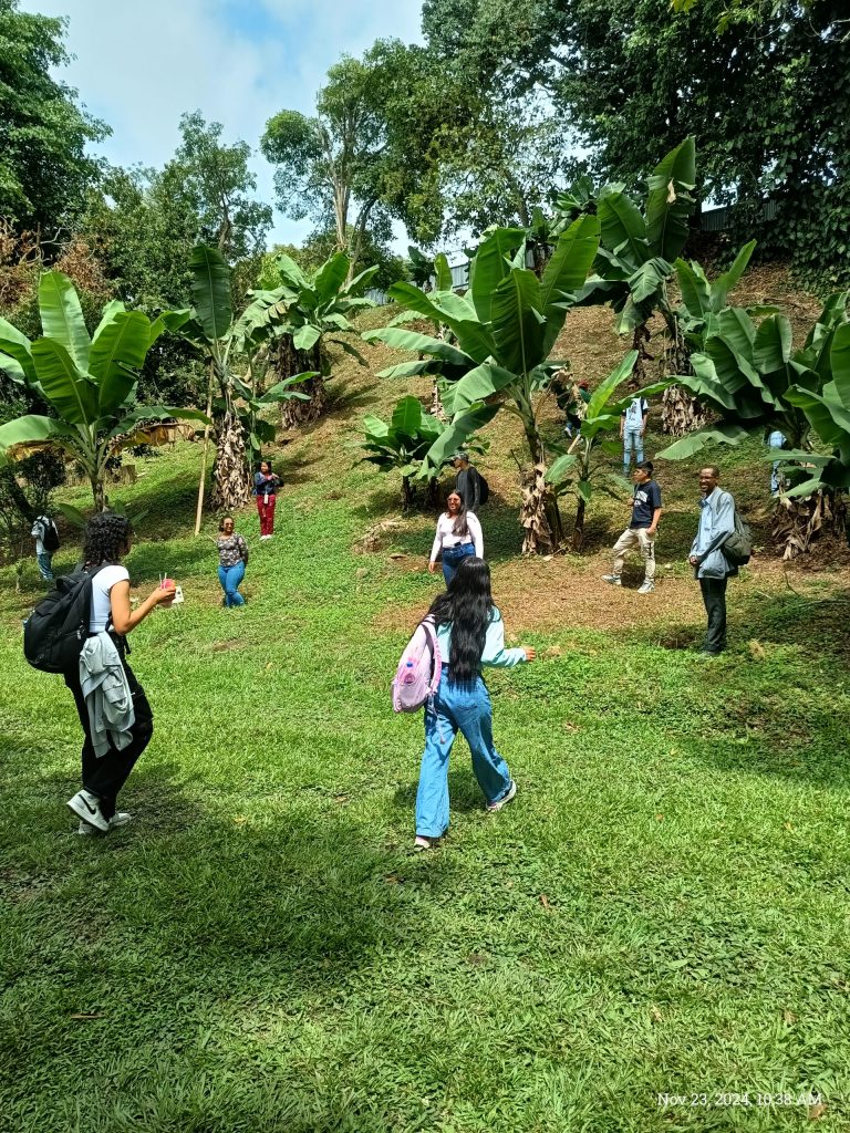 Visit by UniValle Agroforestry Students
