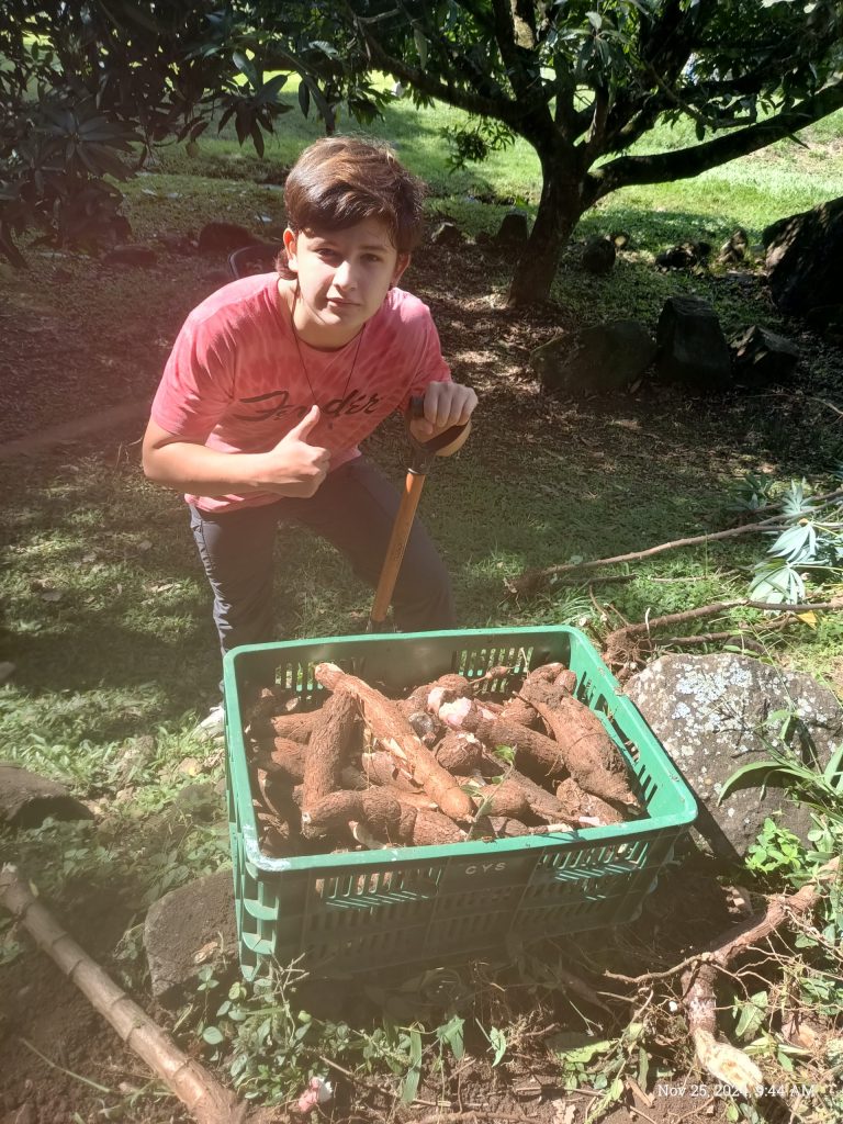 Bananas, Coffee and Yuca – Oct- Nov 2024