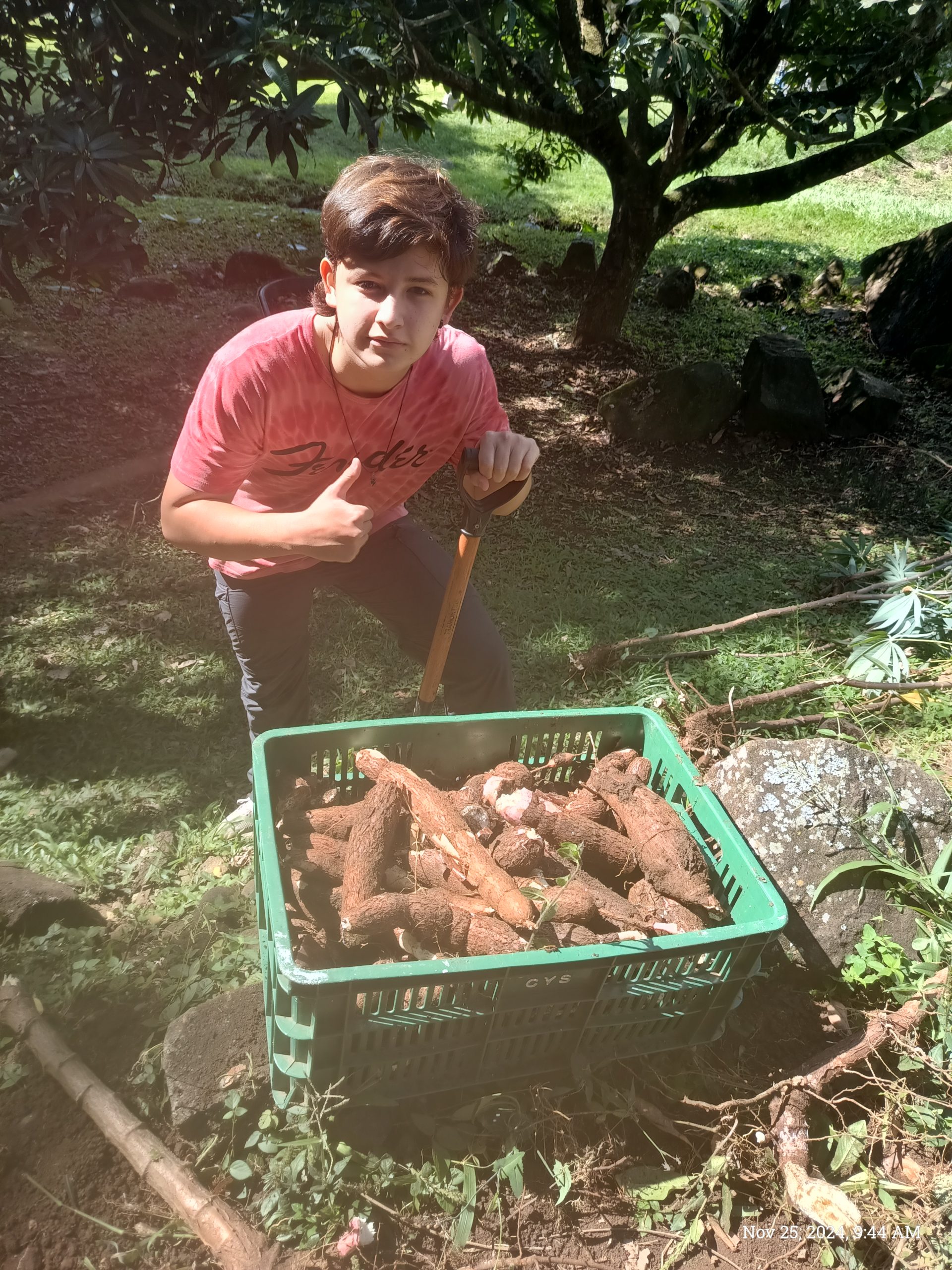 Bananas, Coffee and Yuca – Oct- Nov 2024