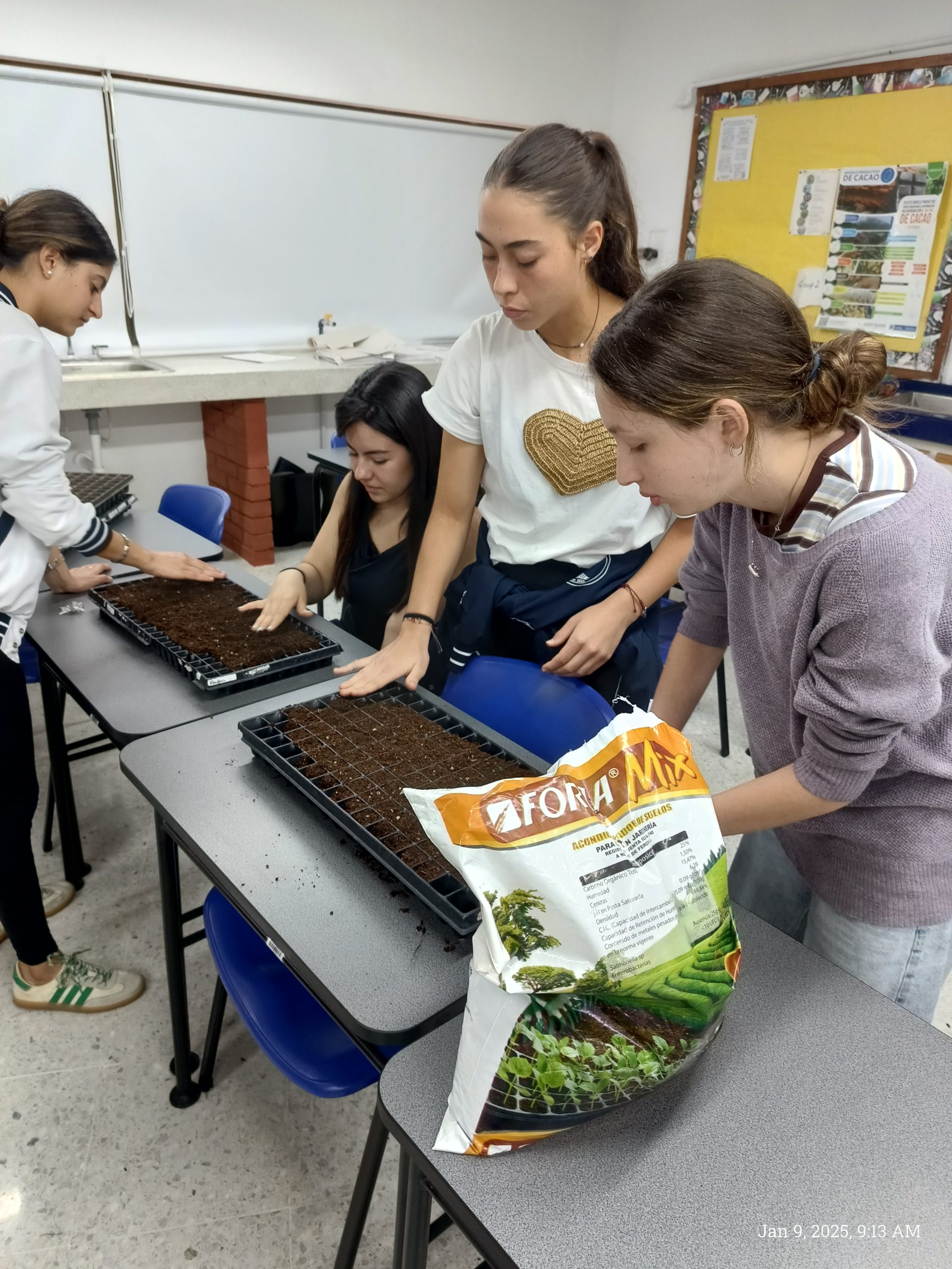 Germinating new seedlings