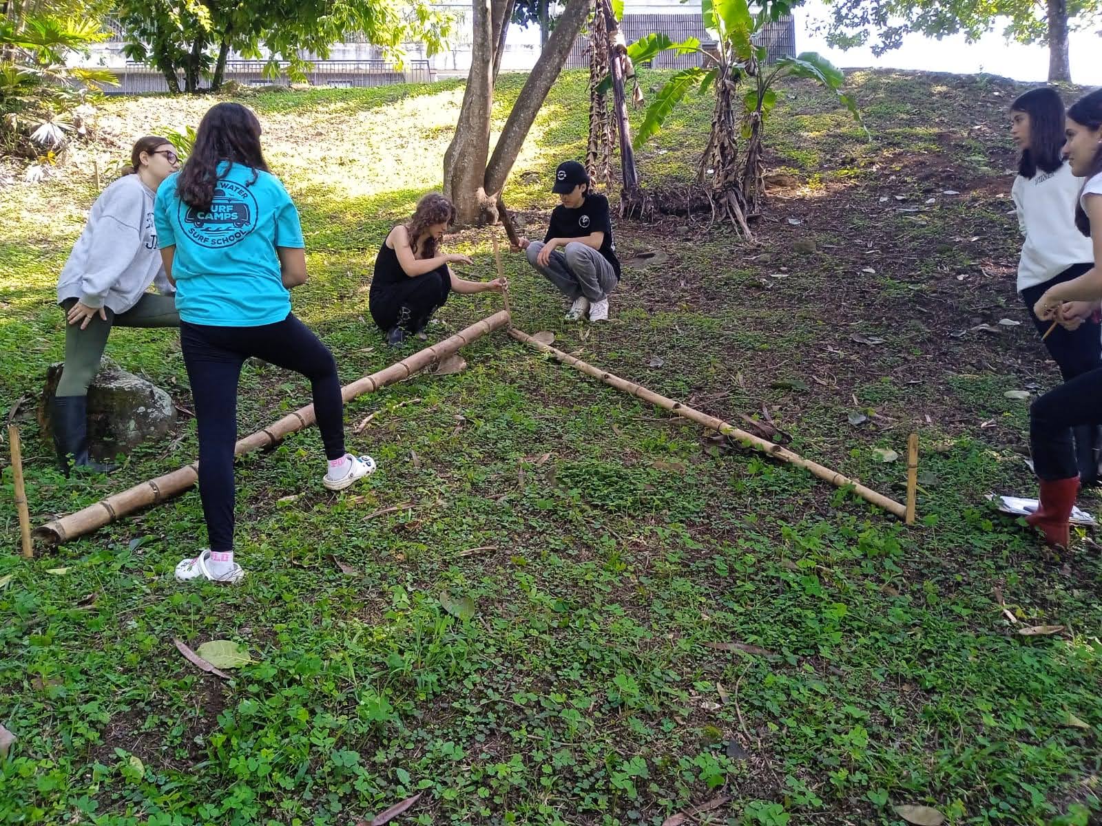 Assessing and marking out of the Cacao Plot