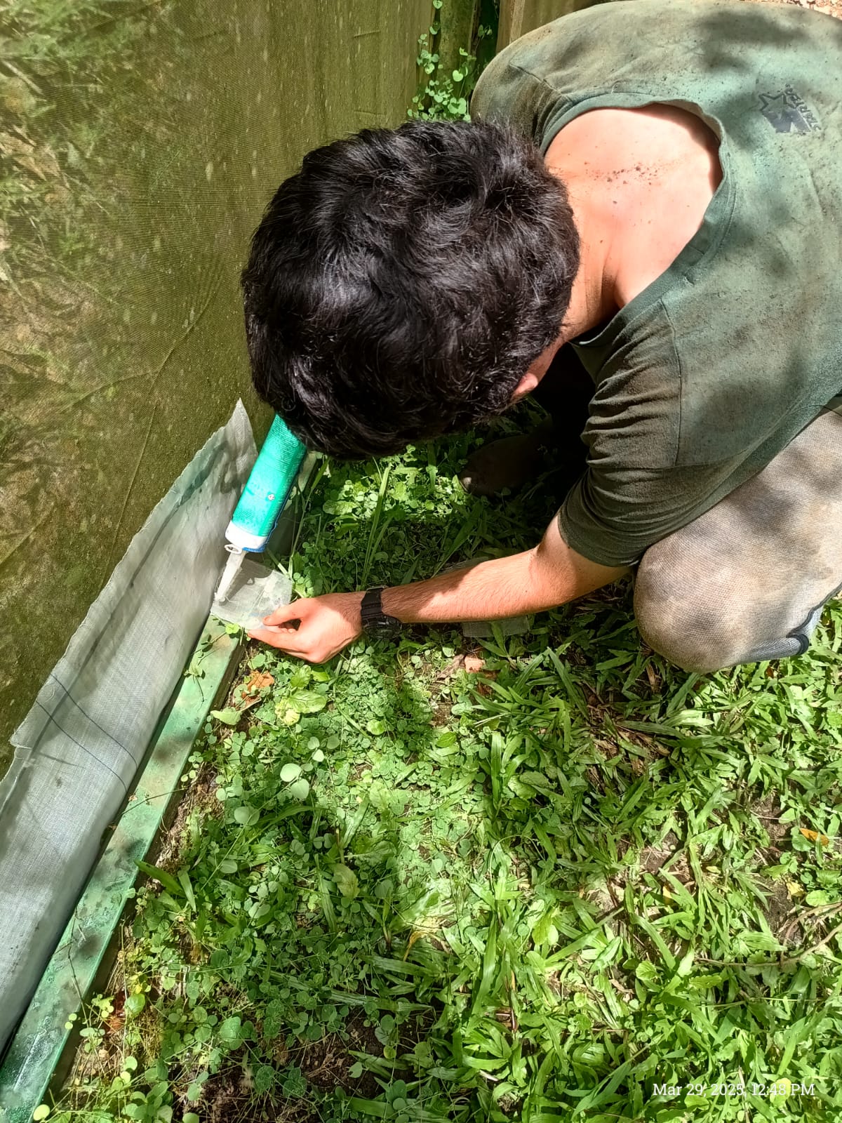 Greenhouse maintenance, upkeep and a new sign for the garden