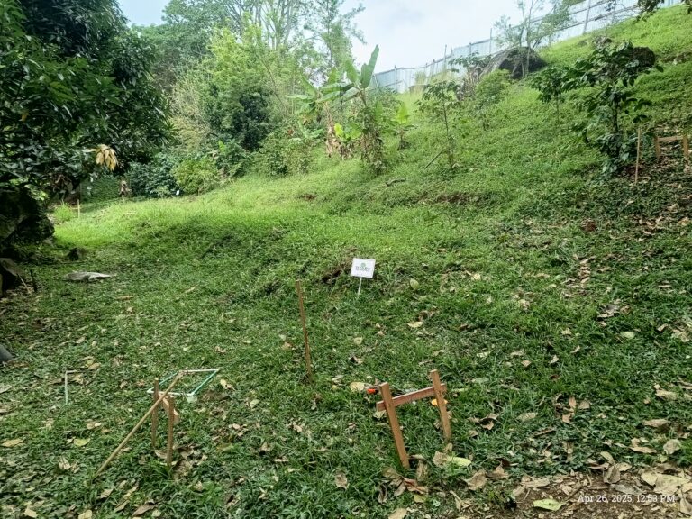 A new Beginning: rebuilding of the terrace