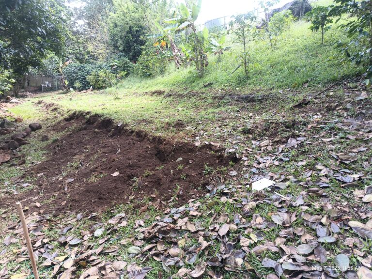 Phase one – breaking down the terrace wall