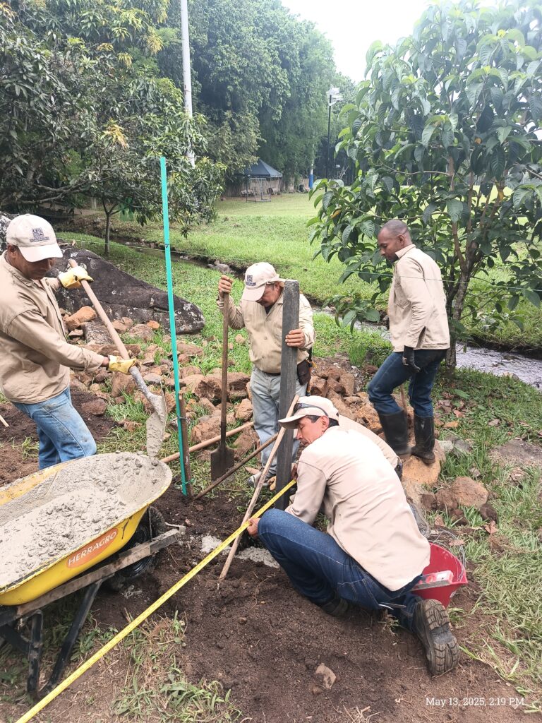 Phase two – levelling the terrace and digging post holes