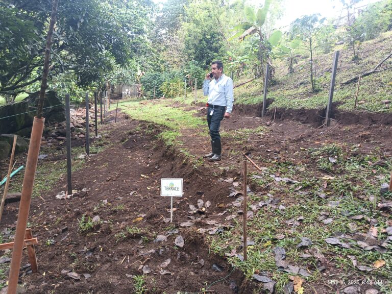 Phase three – checking posts and levelling