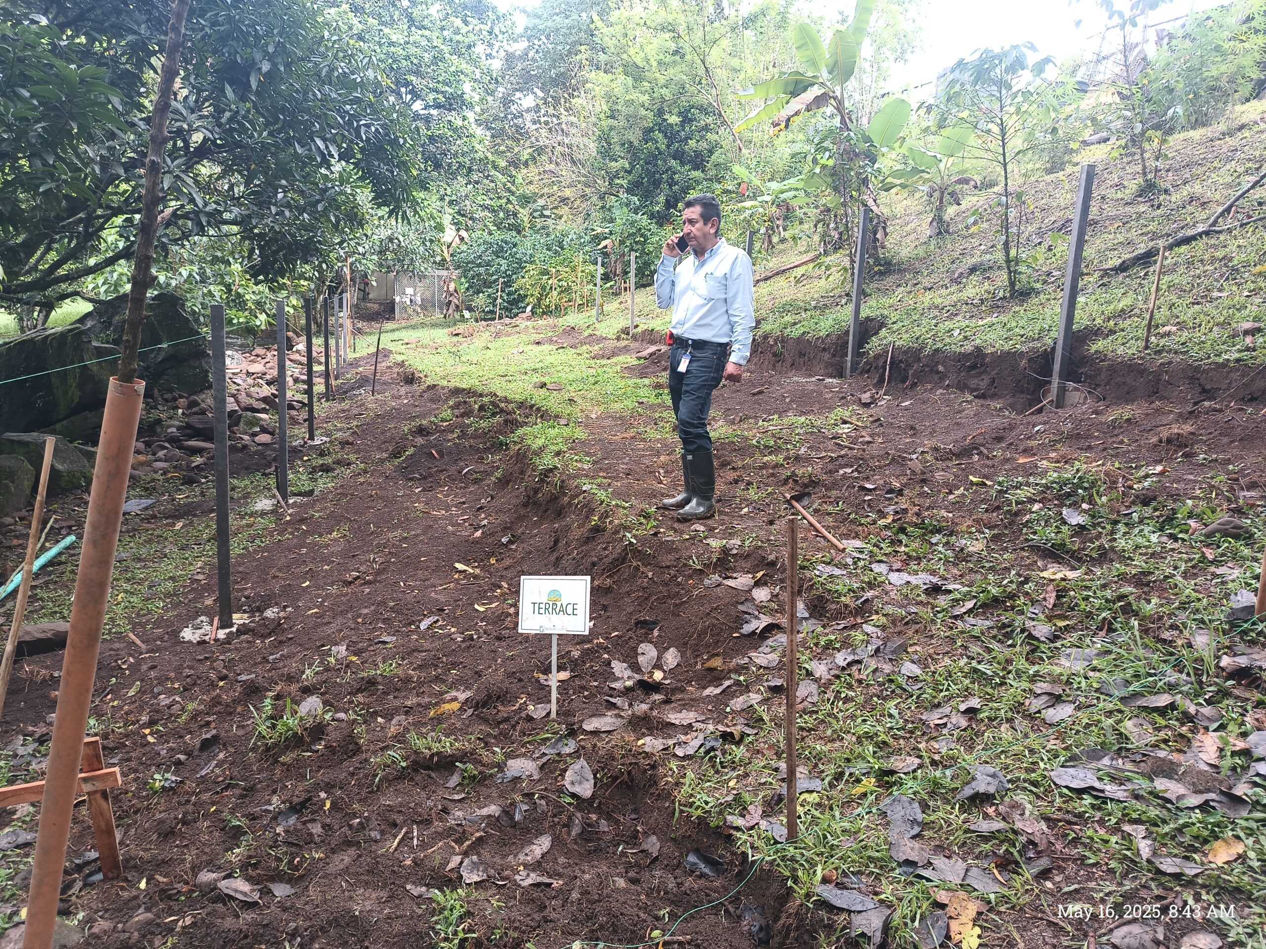 Phase three – checking posts and levelling