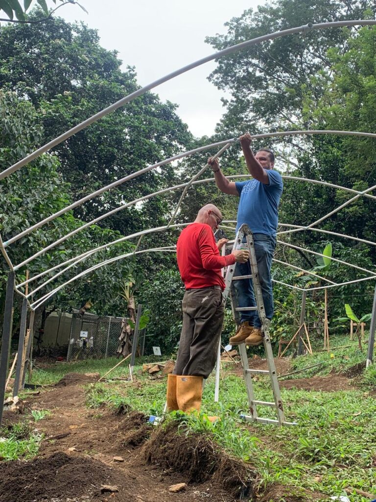 Phase four – roof structure