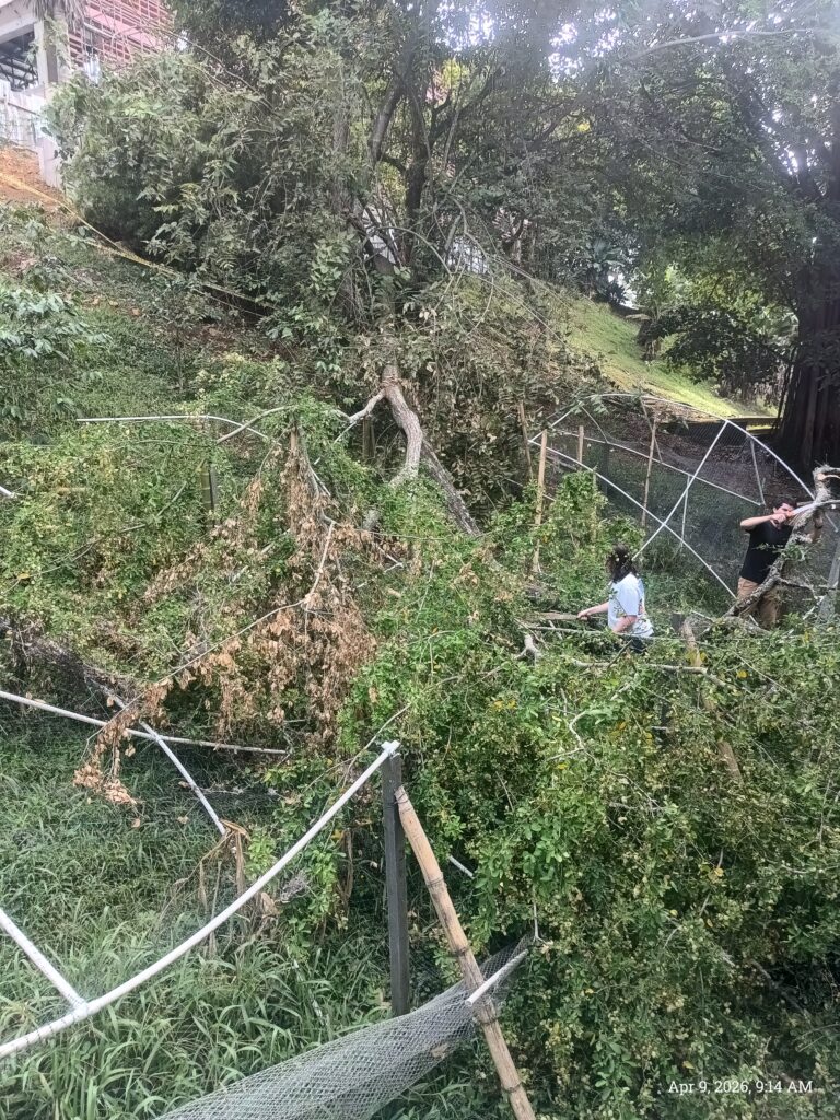 Otro desastre en la terraza.