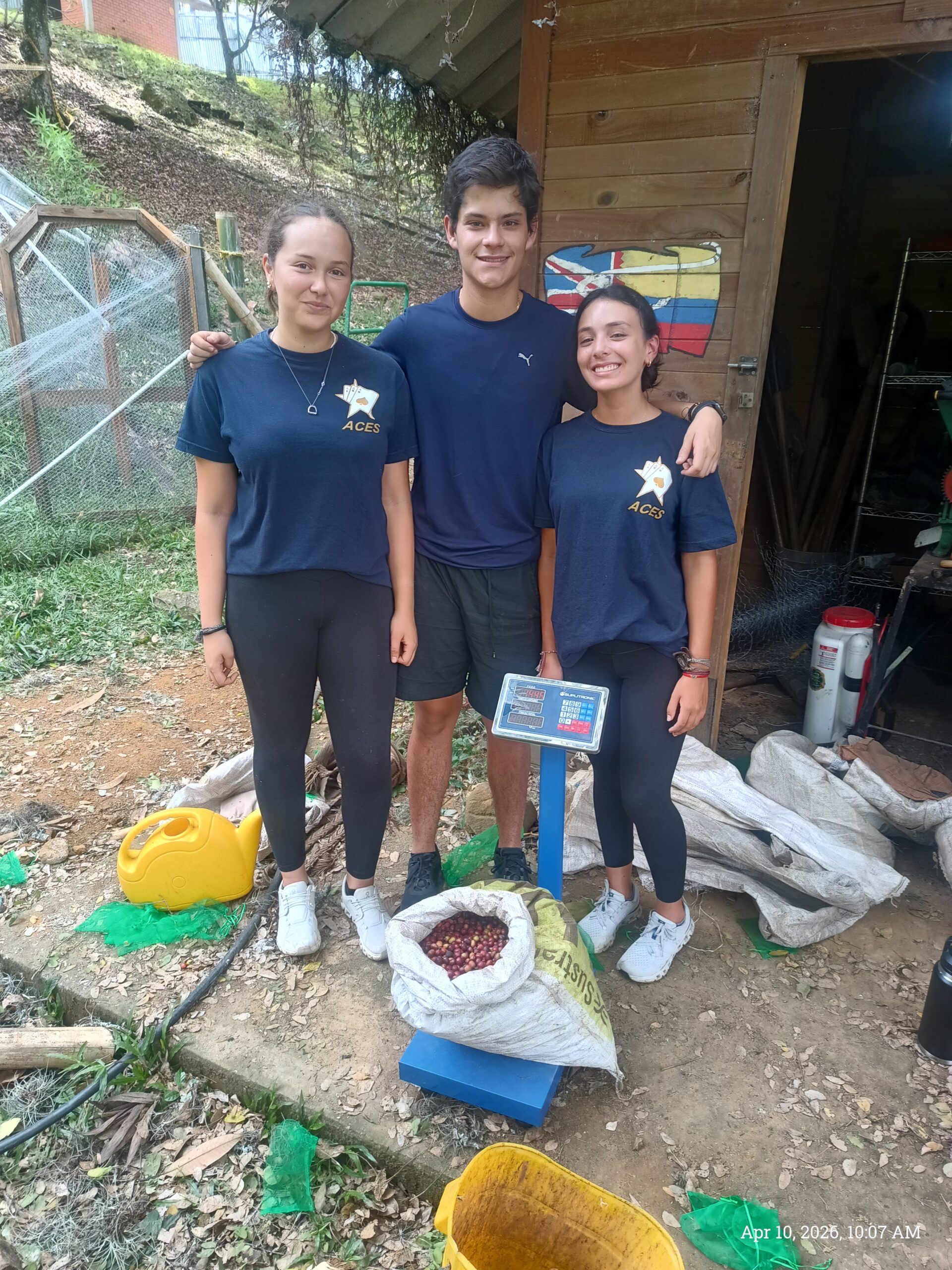 Competitive coffee collection #2