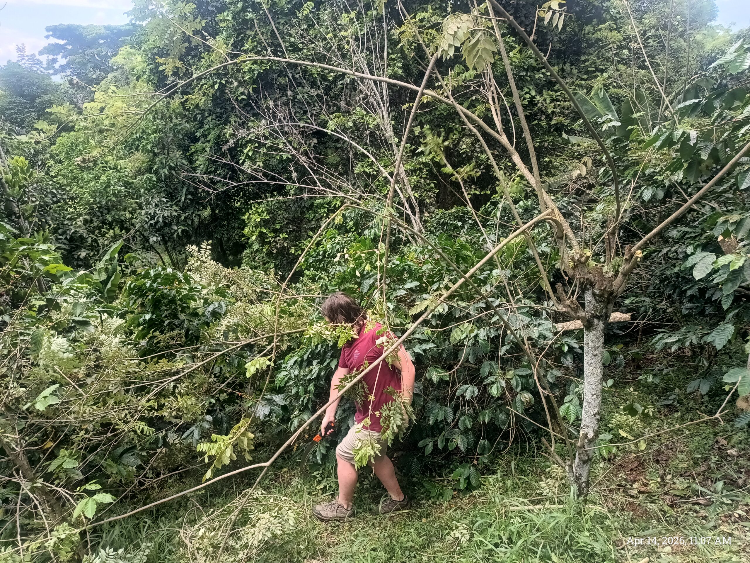 Disaster hits the terrace – AGAIN