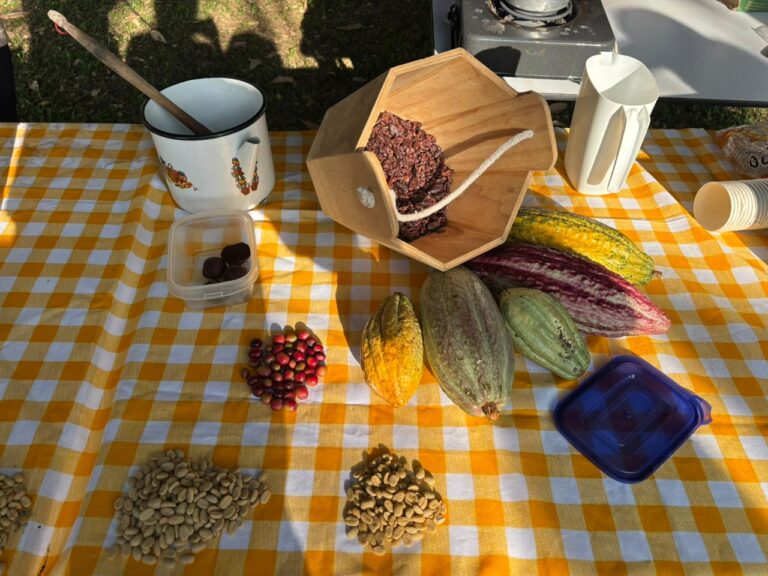 5K verde race – 2026 – Don Simón chocolate and irrigation