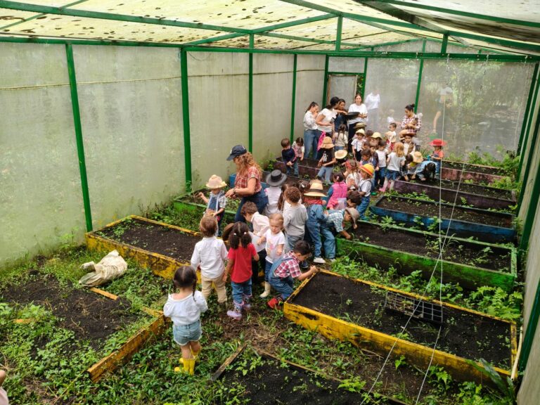 Little Gardeners from the Nido